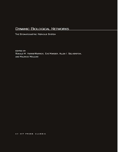 Dynamic Biological Networks: The Stomatogastric Nervous System (Computational Neuroscience)