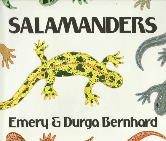 Salamanders (Library Binding)