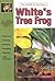 The Guide to Owning White's Tree Frog by John Coborn