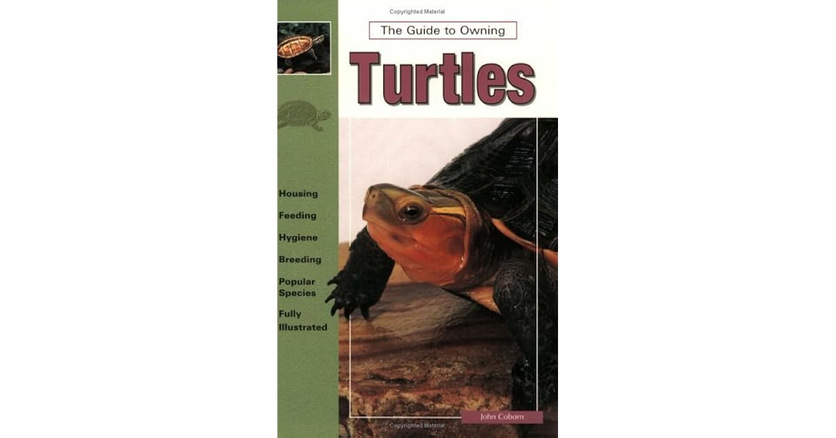 owning turtles