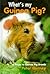 What's My Guinea Pig? by Peter Gurney