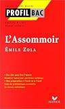L'assommoir, Émile Zola L'assommoir, Émile Zola