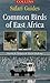 Common Birds of East Africa