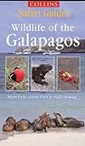 Galapagos (Collins Safari Guides)