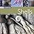 Craft Workshop: Shells