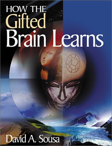How the Gifted Brain Learns (Paperback)
