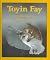 Toyin Fay