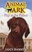 Pup at the Palace (Animal Ark Holiday Special #10) by Ben M. Baglio