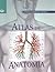 Atlas De Anatomia : Conoce Y Cuida Tu Cuerpo (2nd edition)