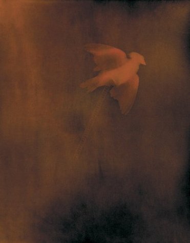 Adam Fuss (Hardcover)