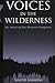 Voices in the Wilderness: Six American Neo-Romantic Composers