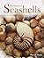 The World of Seashells: A Fully Illustrated Guide to These Fascinating Gifts from the Ocean