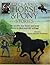 Classic Horse and Pony Stories
