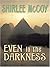 Even in the Darkness (The Lakeview Series, #3)