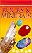 Rocks & Minerals (Usborne Spotter's Guide)