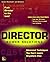 Director Power Solutions