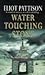 Water Touching Stone (Inspector Shan, #2)
