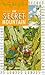 The Secret Mountain (Secret #3)