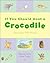 If You Should Meet a Crocodile by Anna Currey