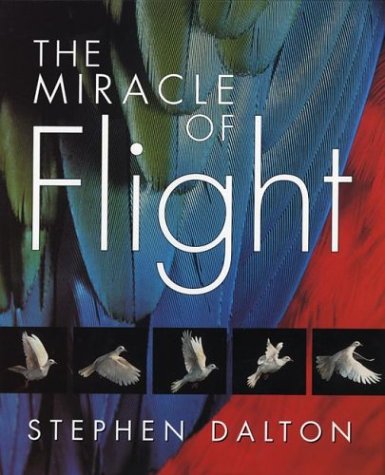 The Miracle of Flight (Hardcover)
