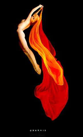 Pool Light (Hardcover)