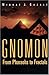 Gnomon by Midhat Gazale