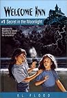 Secret in the Moonlight (Welcome Inn, #1)