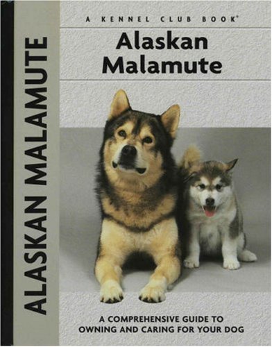 Alaskan Malamute (Kennel Club Dog Breed)