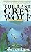 THE LAST GREY WOLF, A Novel of Treasure and Intrique about the