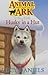 Husky in a Hut (Animal Ark, #36)