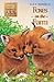 Foxes on the Farm (Animal A...