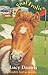 Foal Frolics (Animal Ark Pets, #21)