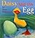 Daisy and the Egg by Jane Simmons