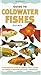 An Interpet Guide to Coldwater Fishes (Fishkeeper's Guides)