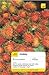 Teach Yourself Malay Book/CD Pack (Teach Yourself Complete Course)