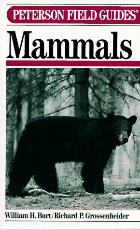 Peterson Field Guides: Mammals (Paperback)