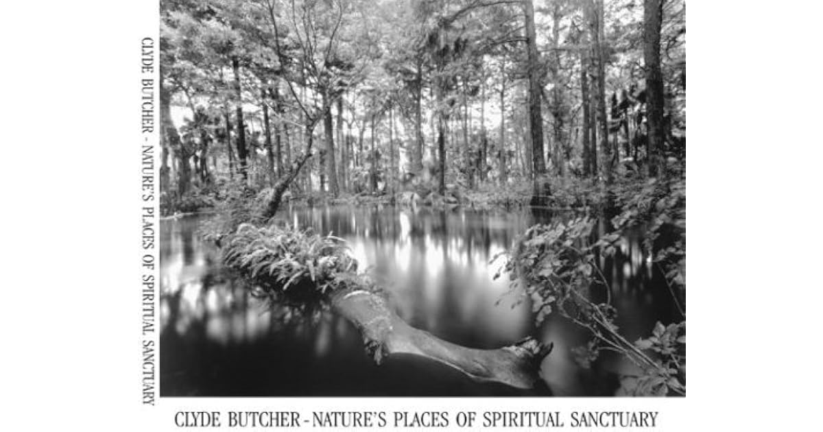 Clyde Butcher: Nature's Places Of Spiritual Sanctuary Photographs From