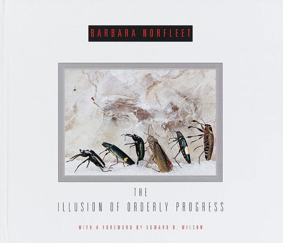 The Illusion of Orderly Progress (Hardcover)