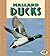 Mallard Ducks (Pull Ahead B...