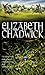 The Champion by Elizabeth Chadwick