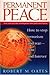 Permanent Peace: How to Stop Terrorism and War - Now and Forever