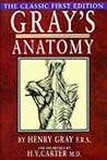 Gray's Anatomy - ...