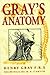 Grays Anatomy by Henry Gray