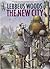 The New City