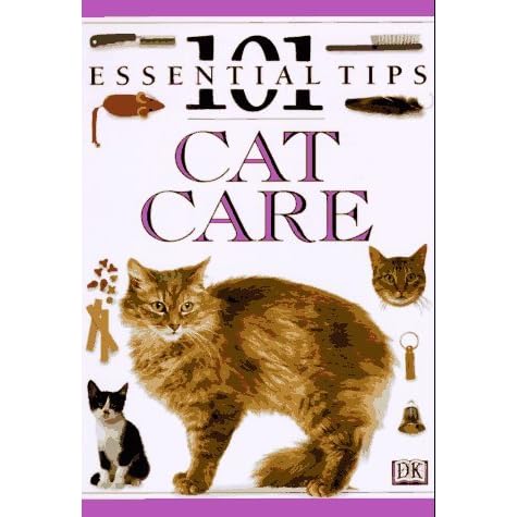 taking care of cats 101