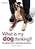 What Is My Dog Thinking? by Gwen Bailey