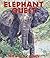 Elephant Quest