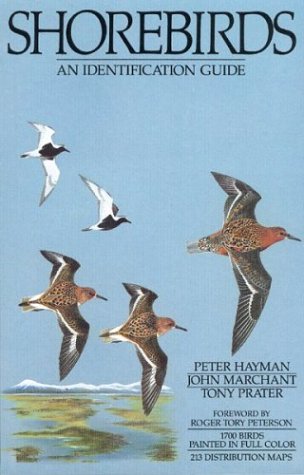 Shorebirds; an identification guide to the waders of the world. (Paperback)