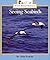 Seeing Seabirds (Rookie Read-About Science)