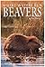Beavers: Where Waters Run (Northword Wildlife Series)